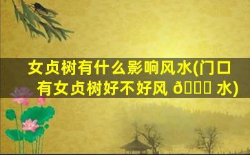 女贞树有什么影响风水(门口有女贞树好不好风 🐘 水)